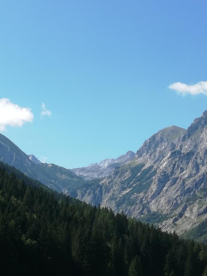 Fruehstueckspension Seeberghof Seewiesen Exteriör bild