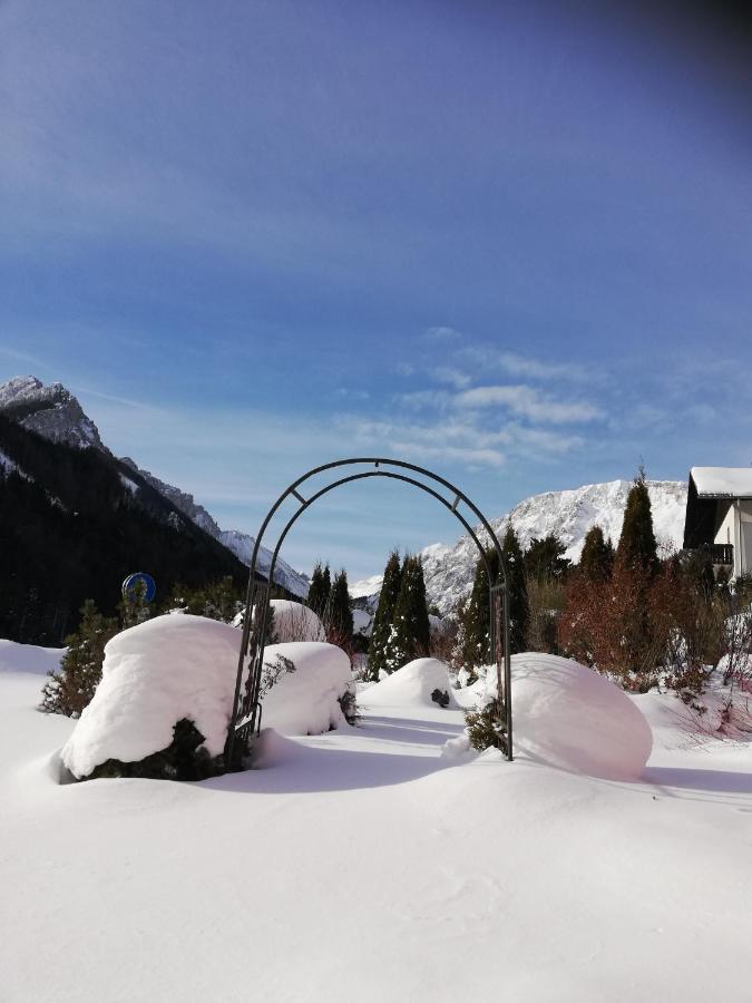 Fruehstueckspension Seeberghof Seewiesen Exteriör bild